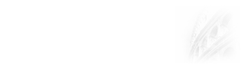 оI(y)